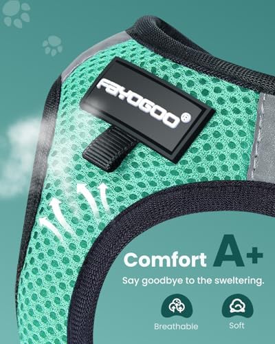 FAYOGOO Cat Harness and Leash Set, Escape-Proof Step-in Vest - Image 2