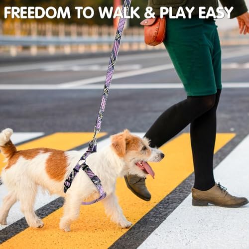 BINGPET No Pull Dog Harness Leash Collar Set, Adjustable Step-in Vest - Image 2