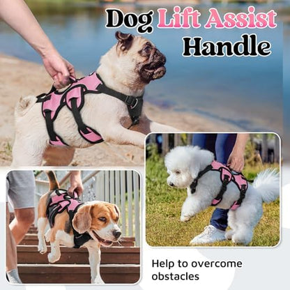 rabbitgoo Escape Proof Dog Harness - Image 3