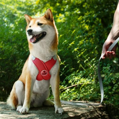 Patas Lague Dog Harness Medium Sized Dog Pet Vest - Image 3
