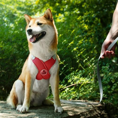 Patas Lague Dog Harness Medium Sized Dog Pet Vest - Image 3