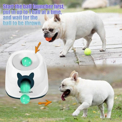 Automatic Dog Ball Launche - Image 5