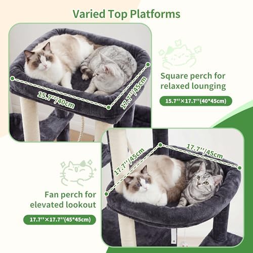 Heybly Cat Tree, 59.4" Secure Anti-Tip Cat Tower - Image 2