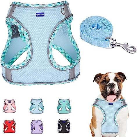 Step in Mesh Dog Harness and Leash Set Breathable Air Mesh Harness by BTDCFY