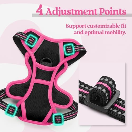 rabbitgoo Dog Harness, No Pull for Small Dogs - Image 4