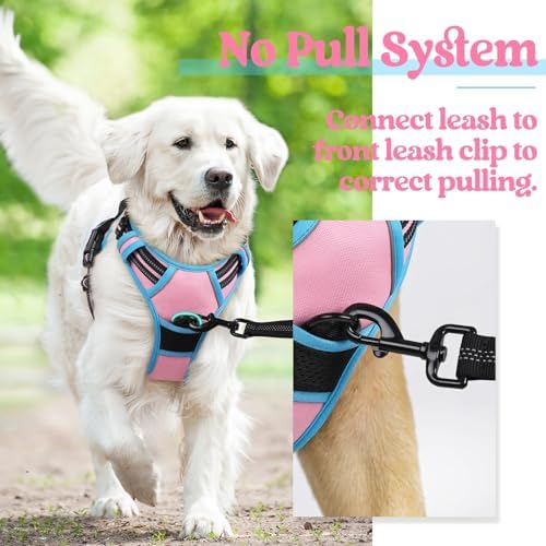 rabbitgoo Dog Harness, No Pull for Large Dogs - Image 6