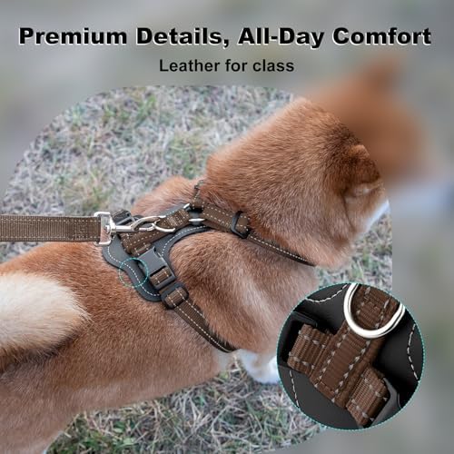 Plutus Pet No Pull Dog Harness - Image 2