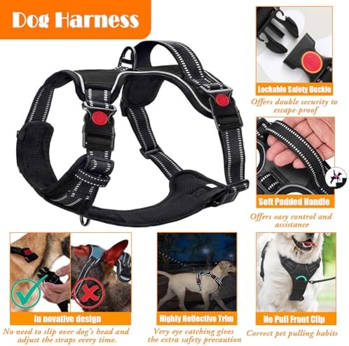 LOBEVE No Pull Dog Harness, Collar & Leash Set - Image 4