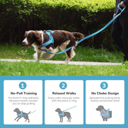 Didog No Pull Dog Harness for Small Dogs, Soft Flannel Padded - Image 4
