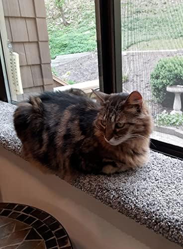 Purrched Cat Window Perch - Image 3