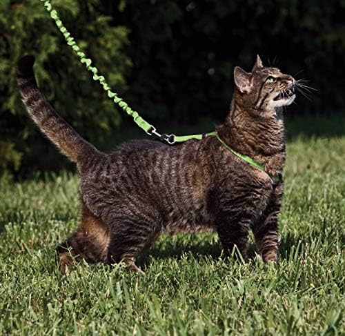 PetSafe Come with Me Kitty Harness and Bungee Leash - Image 2