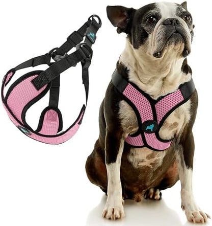 Gooby Comfort X Step-in Lite Harness, Choke-Free - Image 3