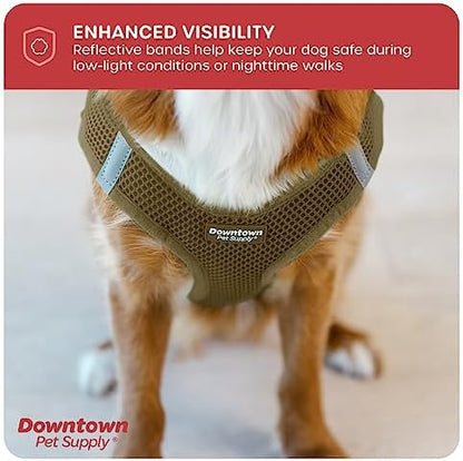 Downtown Pet Supply Step in Dog Harness - Image 7