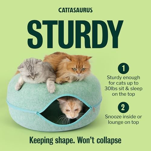 Cattasaurus Peekaboo Cat Cave Donut - Image 3