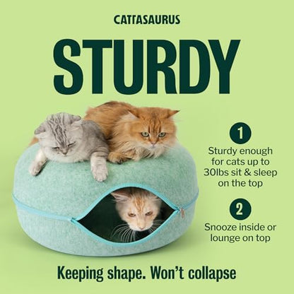 Cattasaurus Peekaboo Cat Cave Donut - Image 3