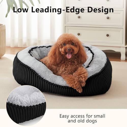 Washable Dog Bed Medium Size Dogs, Orthopedic Pet Bed - Image 5