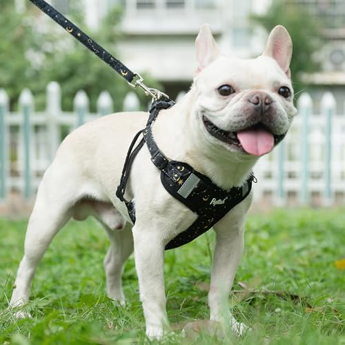 PUPTECK Dog Harness and Leash Set Medium Sized, Step in No Pull Adjustable - Image 5