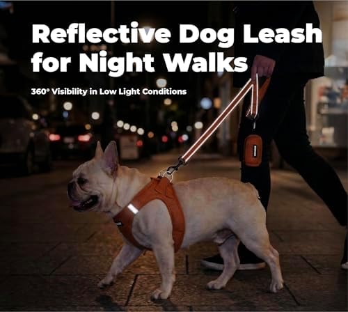 Best Pet Supplies Voyager Nylon Dog Leash - Image 4