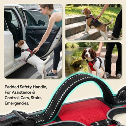 PHOEPET No Pull Dog Harnesses for Small Dogs Reflective Adjustable - Image 4