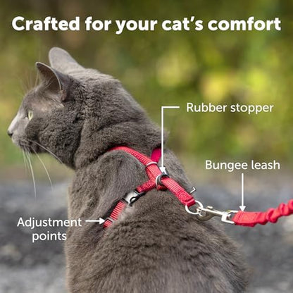 PetSafe Come with Me Kitty Harness and Bungee Leash - Image 6