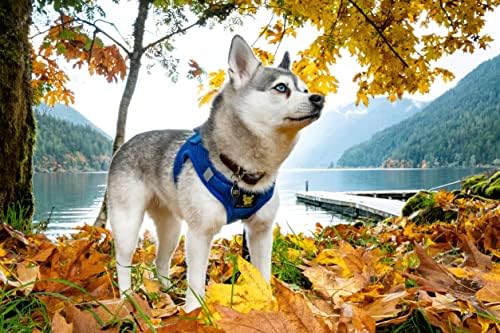 EcoBark Step in Dog Harness - Image 3