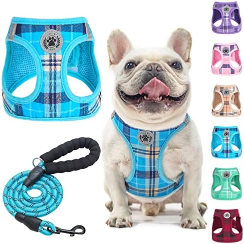 BEAUTYZOO Dog Harness Medium Sized and Leash Set, No Pull Pet Vest by BEAUTYZOO