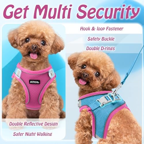 AIITLE Dog Harness and Leash Set, Step-in Puppy Pet Vest, Hot Pink M - Image 4