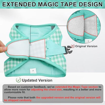 AIITLE Step in Medium Dog Harness and Leash Set, Pet Vest, Turquoise L - Image 2