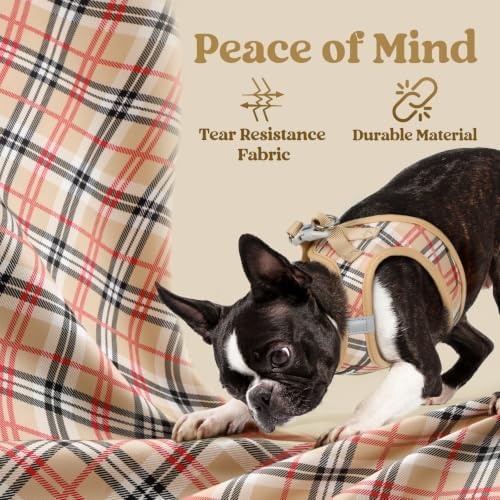 rabbitgoo Step-in Small Dog Harness, Puppy Vest - Image 4