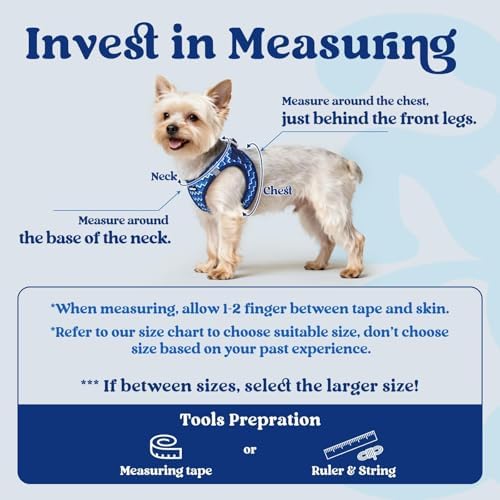 rabbitgoo Step-in Small Dog Harness, Puppy Vest - Image 2