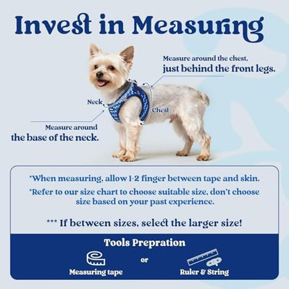 rabbitgoo Step-in Small Dog Harness, Puppy Vest - Image 2