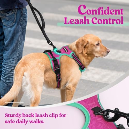 rabbitgoo Dog Harness, No Pull for Large Dogs - Image 6