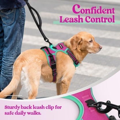 rabbitgoo Dog Harness, No Pull for Large Dogs - Image 6