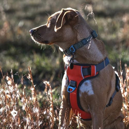 Embark No Pull Dog Harness, Reflective Adjustable Training Vest, No Choke - Image 3