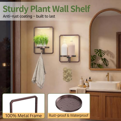 LASZOLA Plant Picture Frame Holder Shelf Wall - Image 6