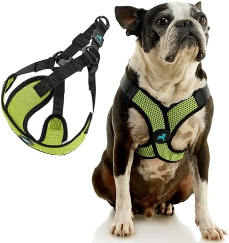 Gooby Comfort X Step-in Lite Harness, Choke-Free - Image 3