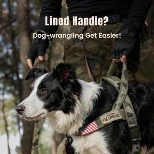 Forestpaw No Pull Dog Harness - Image 2