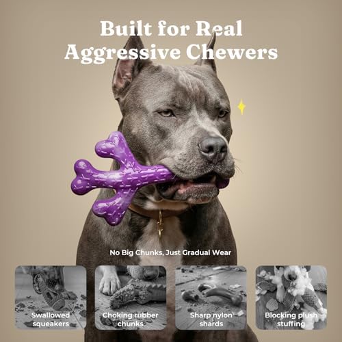 Frienhund 2-Pack Tough Dog Chew Toys - Image 3