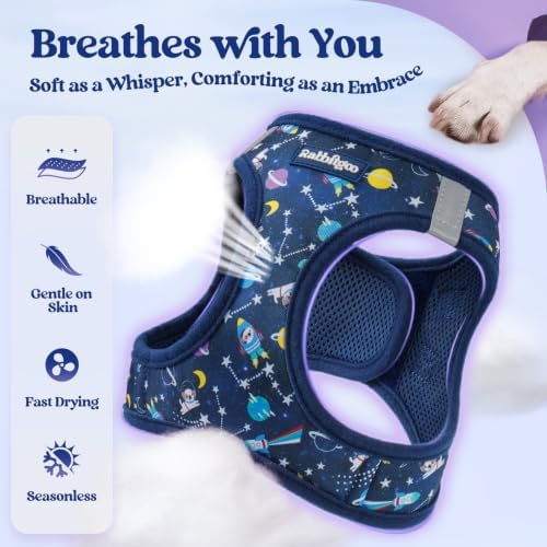 rabbitgoo Dog Harness Medium Sized and Leash Set, Step-in Puppy Pet Vest - Image 4