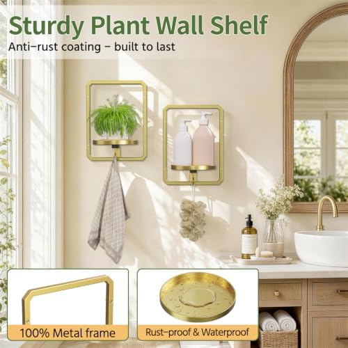 LASZOLA Plant Picture Frame Holder Wall Mount - Image 6