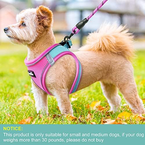 haapaw Dog Harness with Leash Set, No Pull Adjustable Reflective Step-in Puppy - Image 4