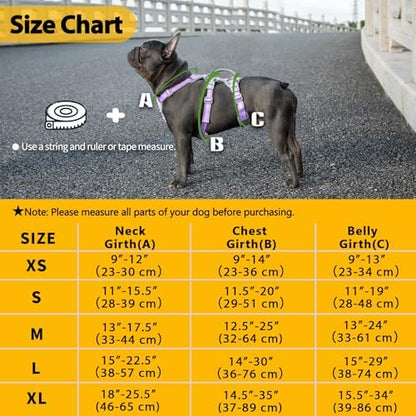 Huntboo Escape Proof Dog Harness, No Pull Reflective Harness - Image 6