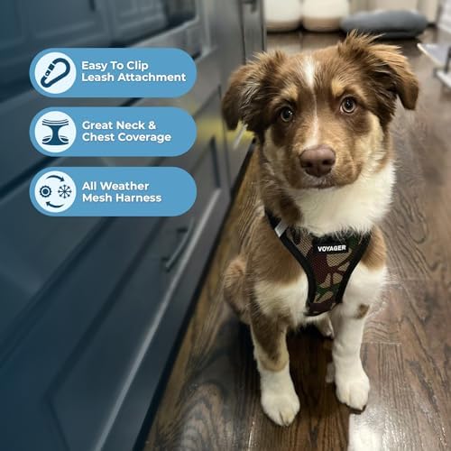 Voyager Step-in Air Dog Vest Harness - Image 3