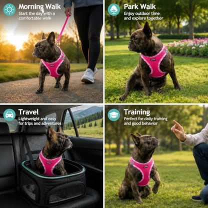 AMTOR Small Dog Harness with Leash Set, No Escape Easy Walk Puppy Harnesses - Image 4