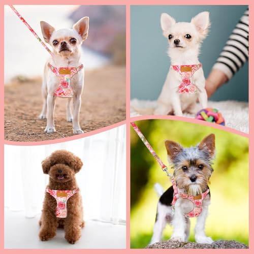 SlowTon No Pull Dog Harness - Image 7