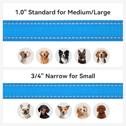 Joytale Reflective Dog Leash for Medium & Large Dogs, 4 FT x 1", Sky Blue - Image 6