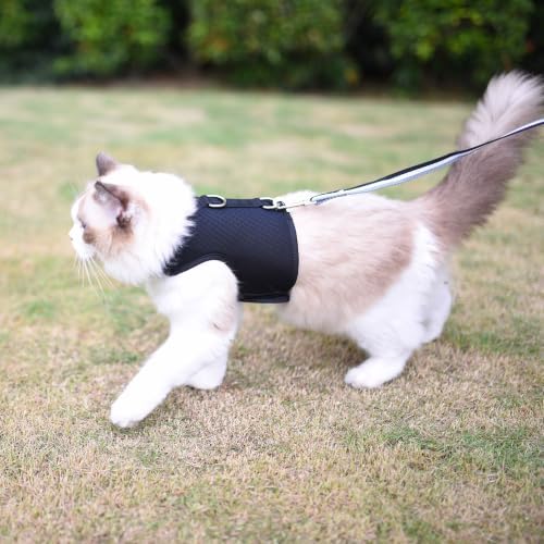 Cat Harness and Leash Set for Walking Escape Proof - Image 2