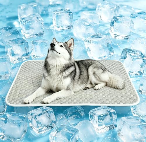 GOLOPET Laarge Cooling Mat for Dogs 27x40in by Afullrangeofservicesforyourpet