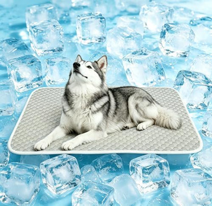 GOLOPET Laarge Cooling Mat for Dogs 27x40in by Afullrangeofservicesforyourpet