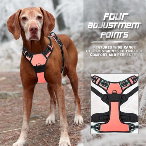 BARKBAY Dog Harness No Pull for Small Sized Dog Front Back Clips, Dog Vest - Image 6